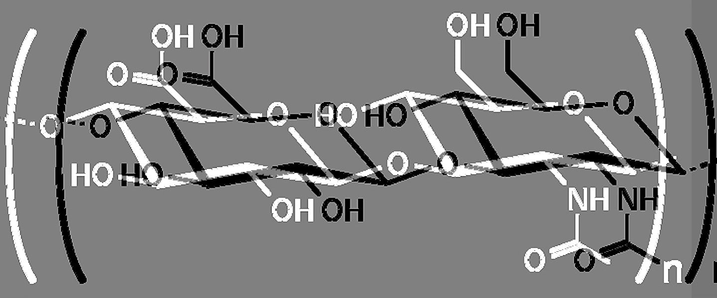 hyaluronic acid structure - tent nutrition